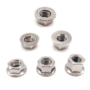 DIN6331 Stainless Steel SS304 SS316 Thick Hexagon Collar Flange Nuts