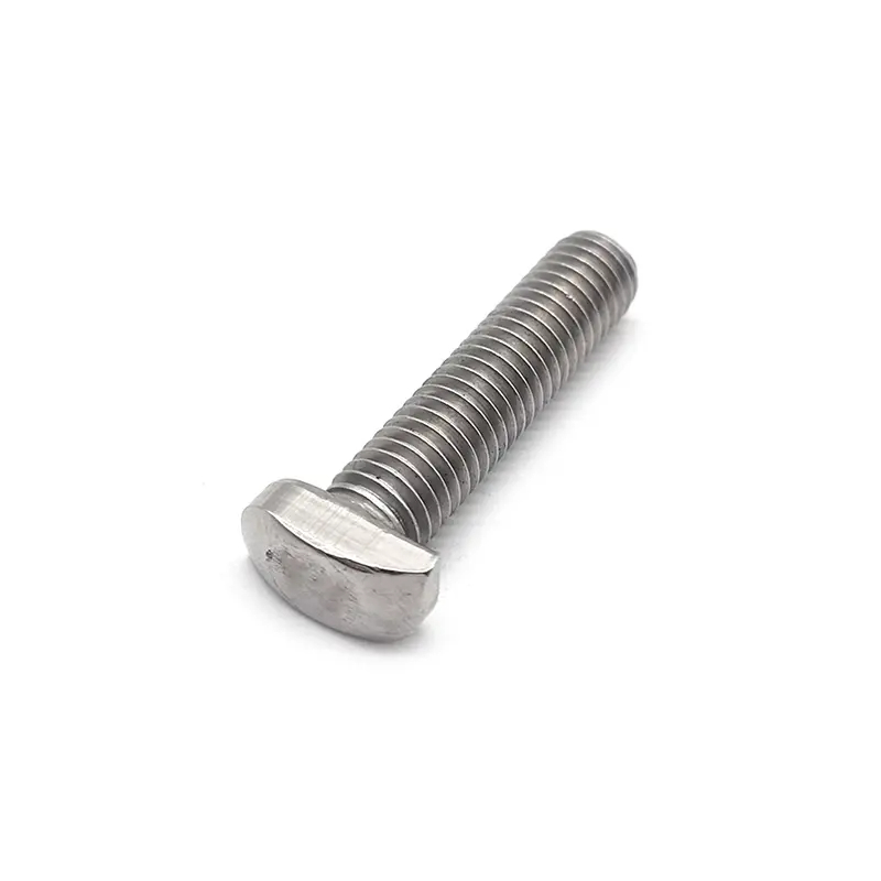 Customized T-Bolt Stainless Steel 304 316 A2 A4 T Shape T Bolt