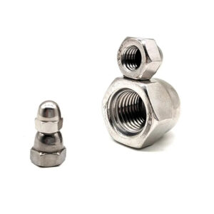 Stainless Steel 304 316 M4 M6 M10 Hex Cap Nuts