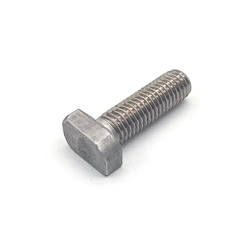 Stainless Steel SS304 316 A2-70 Sandblasting T Bolt