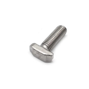 Stainless Steel Customized T Shape SS304 SS316 A2-70 M6 M8 Hammer Head Bolt