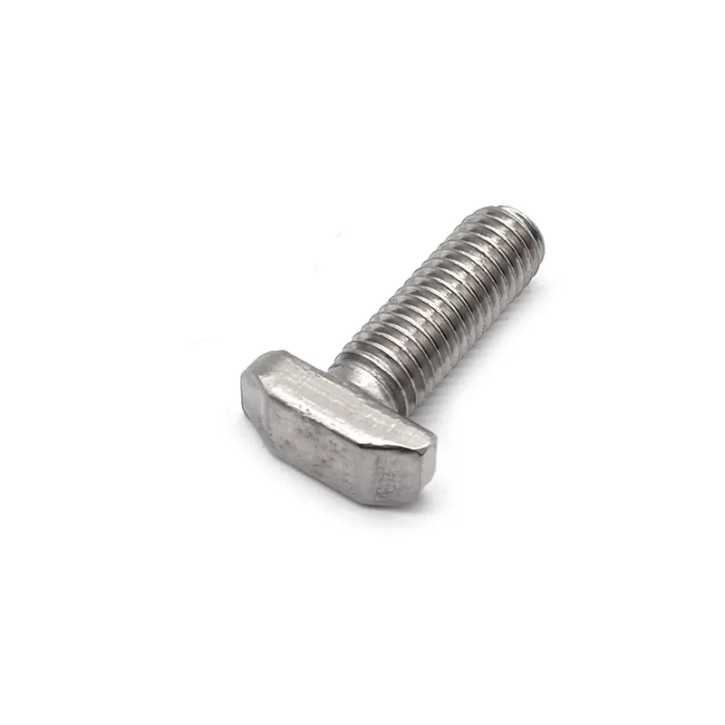 Stainless Steel Customized T Shape SS304 SS316 A2-70 M6 M8 Hammer Head Bolt