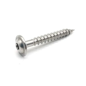 ISO7380 Pan Head Torx Zinc Self Tapping Screw