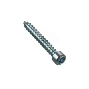 Galvanized Hex Socket Allen Self Tapping Screw