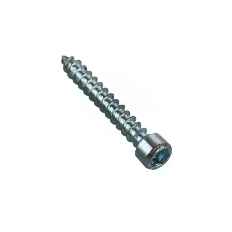 Galvanized Hex Socket Allen Self Tapping Screw